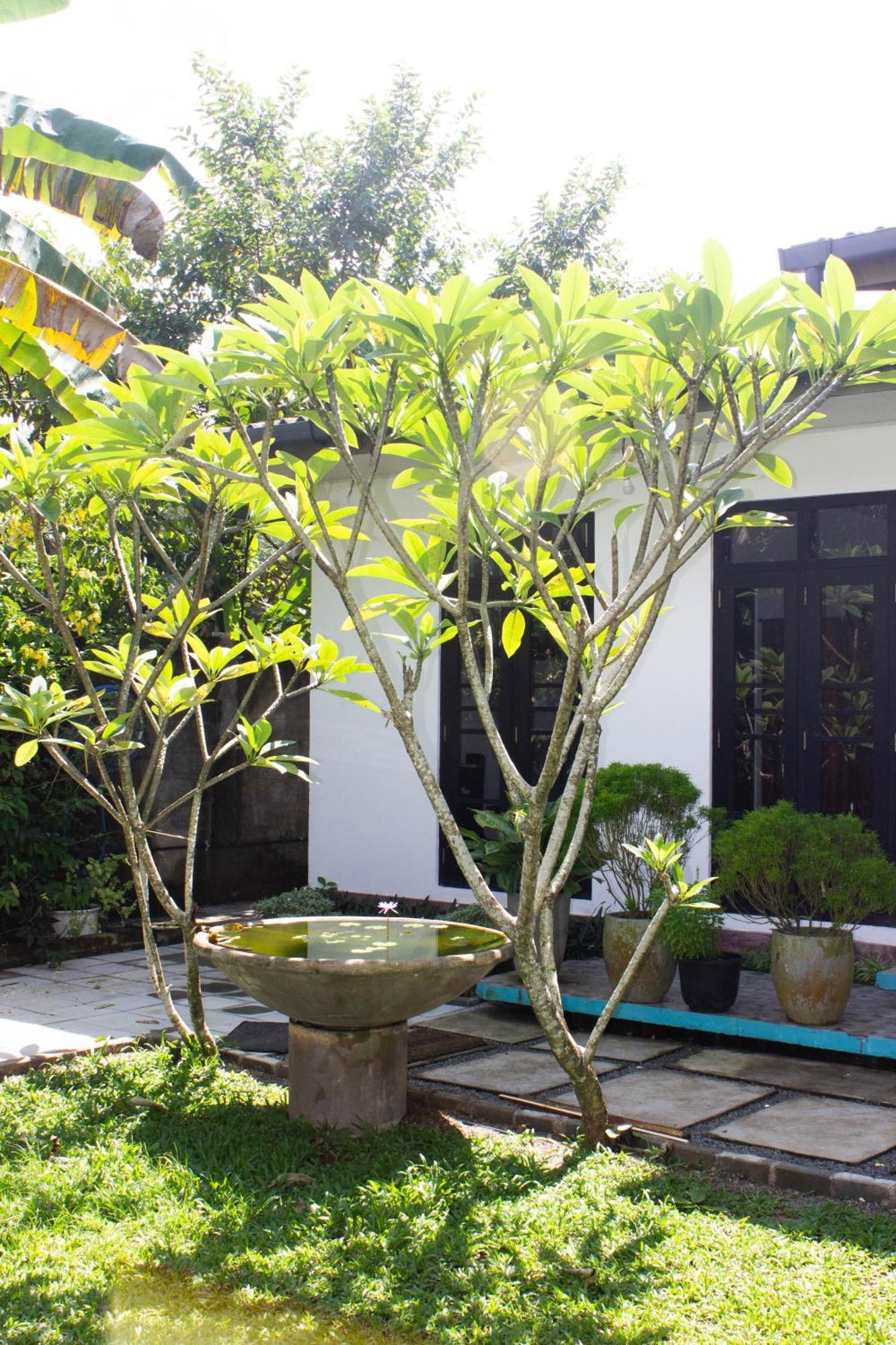 Hotel Uralsurf House Weligama Zewnętrze zdjęcie